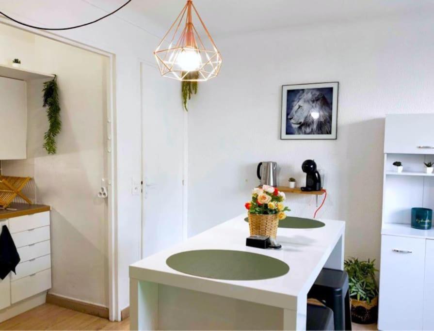 Apartament Studio Proche Centre Wifi Parking Montpellier Zewnętrze zdjęcie