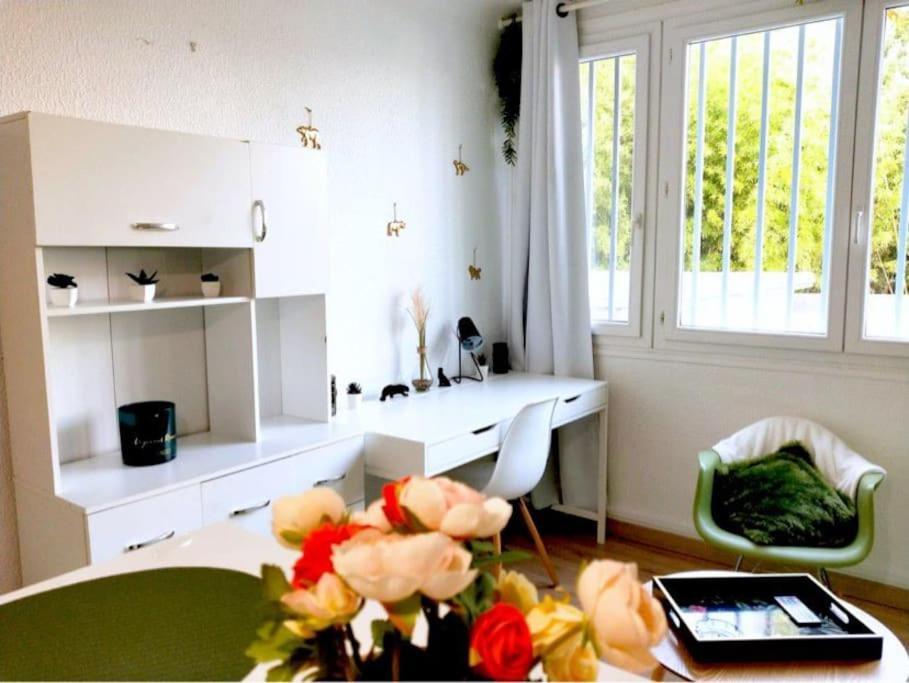 Apartament Studio Proche Centre Wifi Parking Montpellier Zewnętrze zdjęcie
