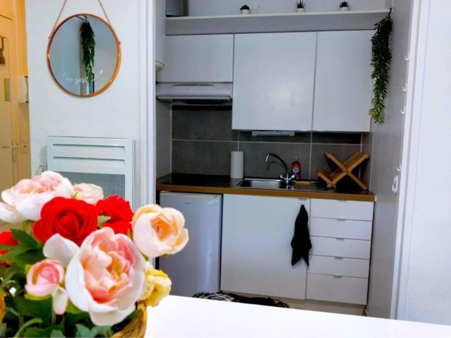 Apartament Studio Proche Centre Wifi Parking Montpellier Zewnętrze zdjęcie